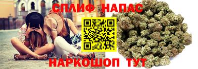 соль ск Пугачёв