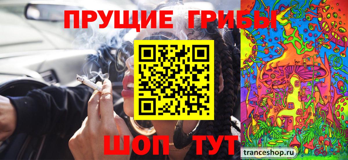 Галлюциногенные грибы MAGIC MUSHROOMS  Псилоцибиновые грибы прущие грибы  Татарск  Вход с VPN 